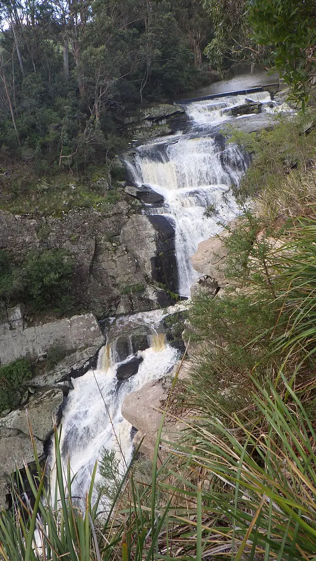 RIMG2579 Agnes Falls, South Gippsland, Victoria (Australia) 02