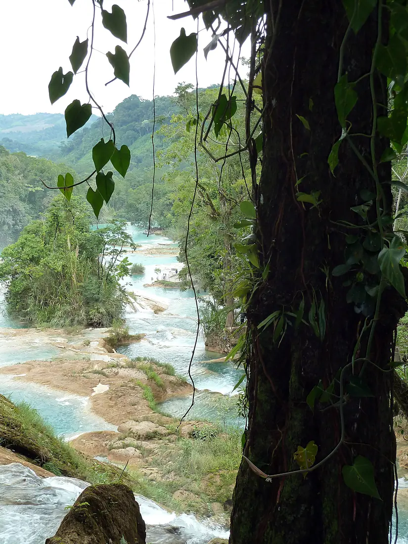 Agua Azul (8263700159)