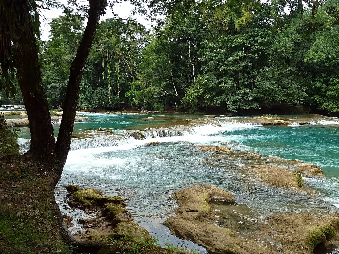 Agua Azul (8264752006)