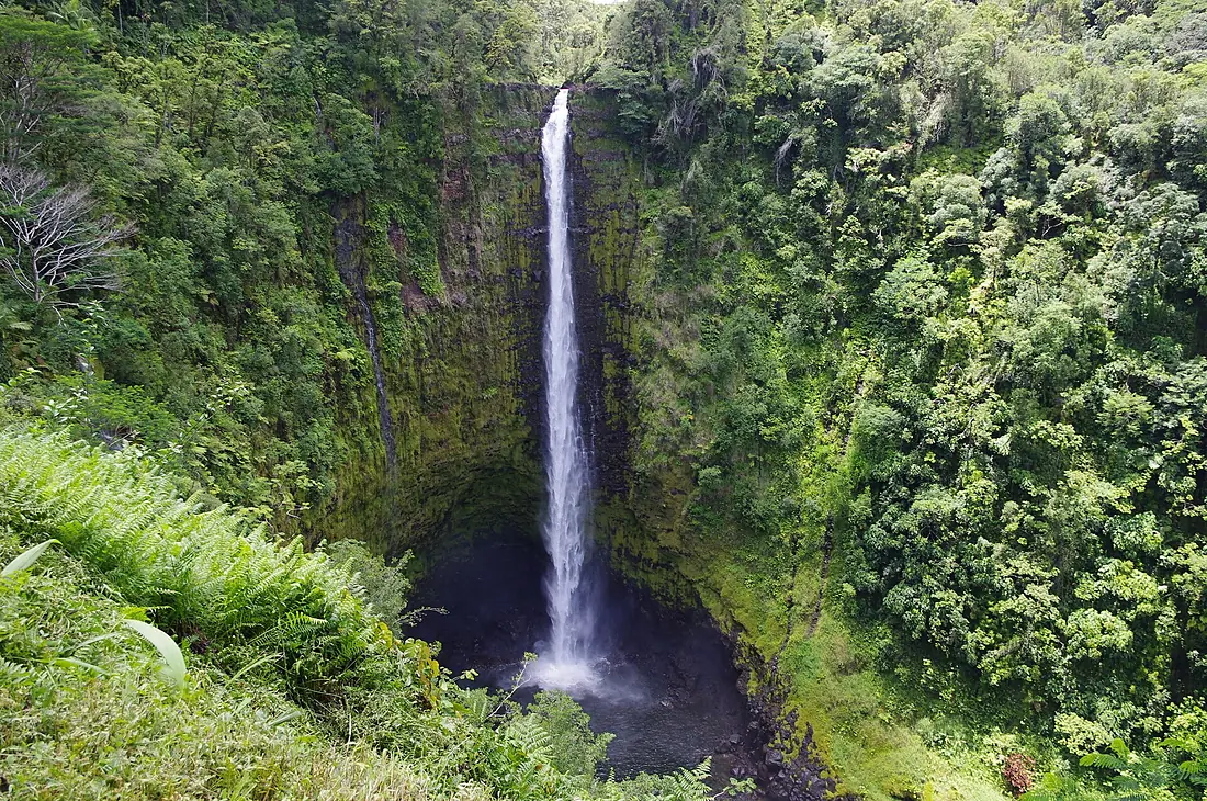 'Akaka Falls, which drops 442 feet straight down. (28791810835)