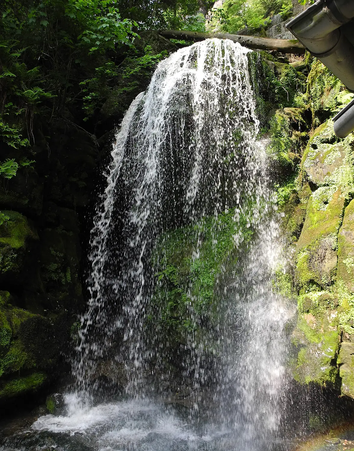 Hohenstein - Amsel-Wasserfall03