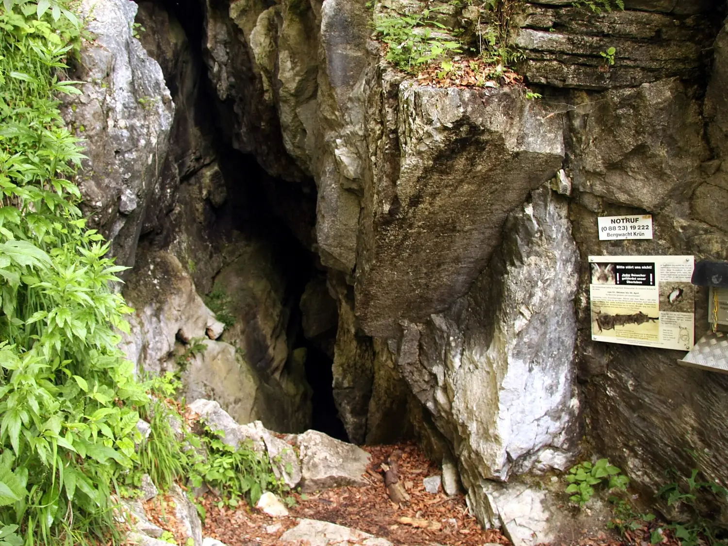 Angerlloch, Zugang, 2008