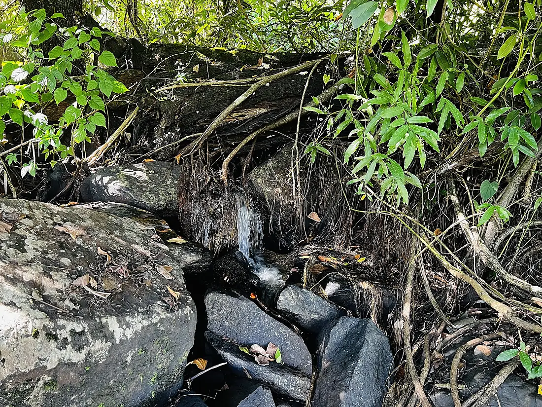 A close up of Aruu Falls Campsite