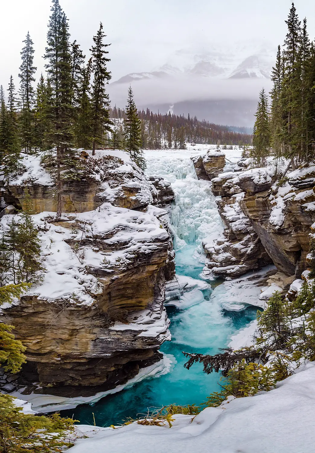 Athabasca Falls - Jasper