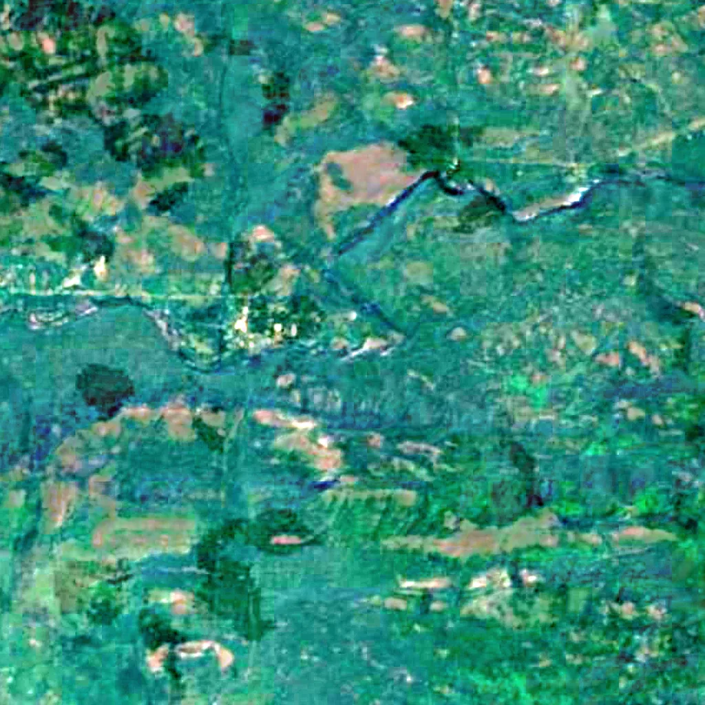 Athirappilly Falls seen from above (Sentinel-2)