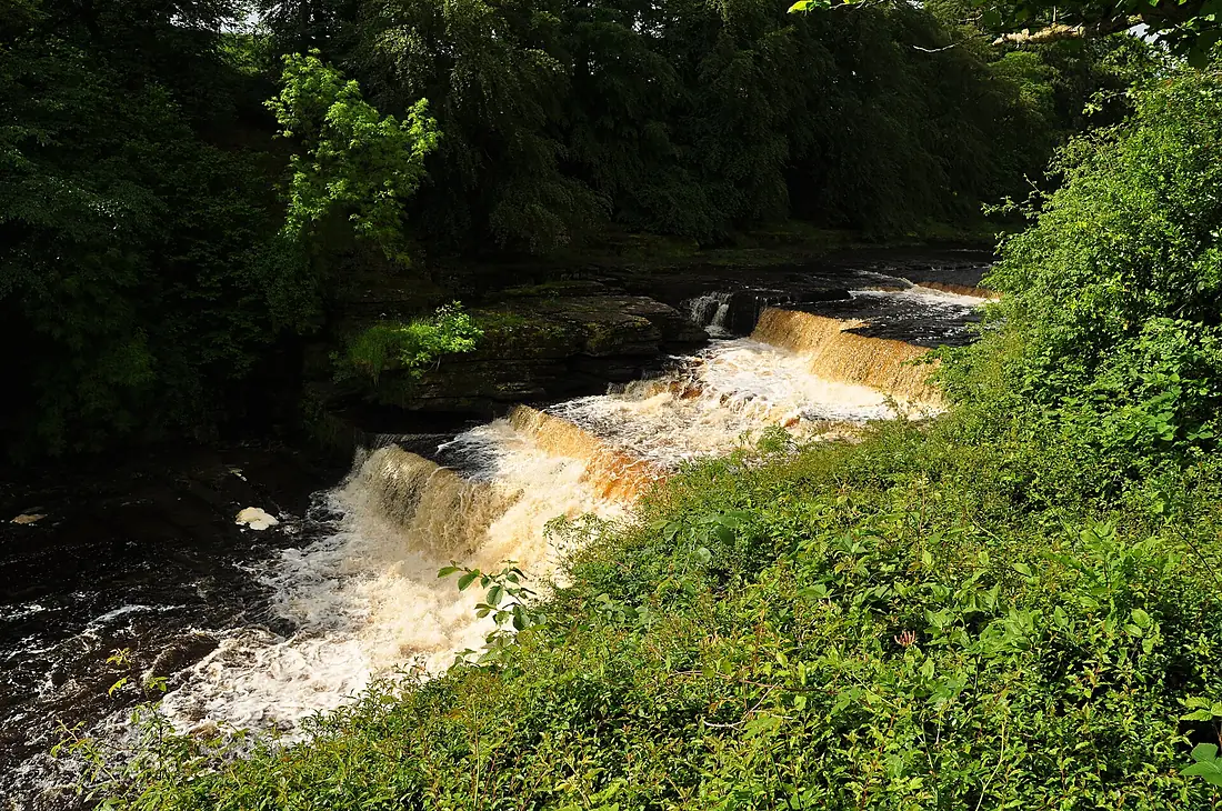 Aysgarth Falls (6159)