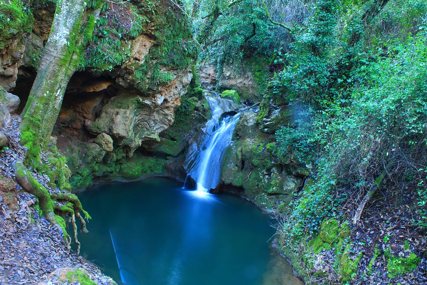 Baños de Popea, Arroyo del Bejarano