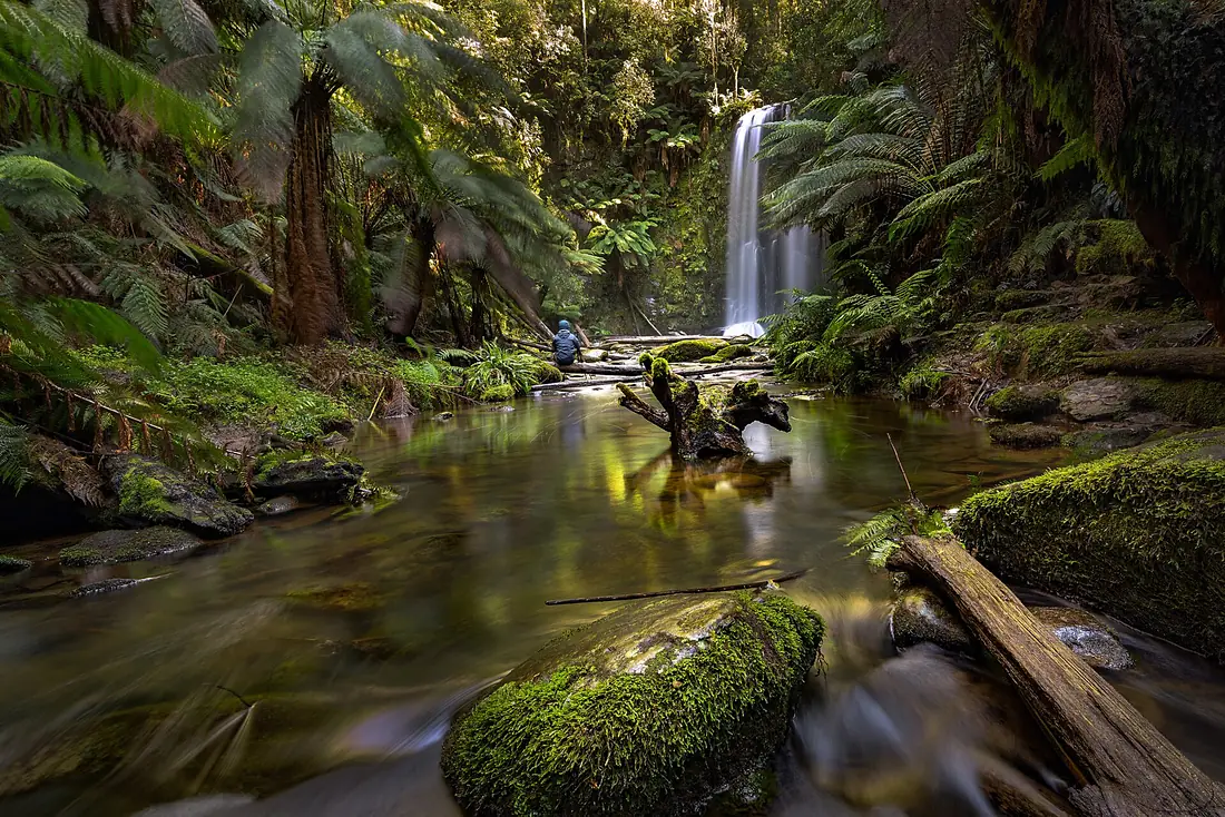 Beauchamp Falls (122308501)