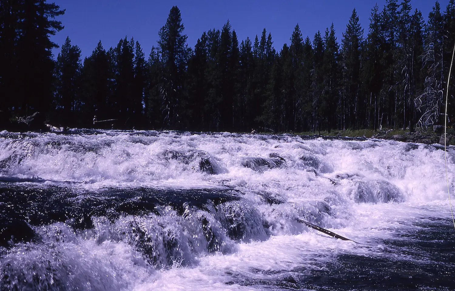 BechlerFallsYNP