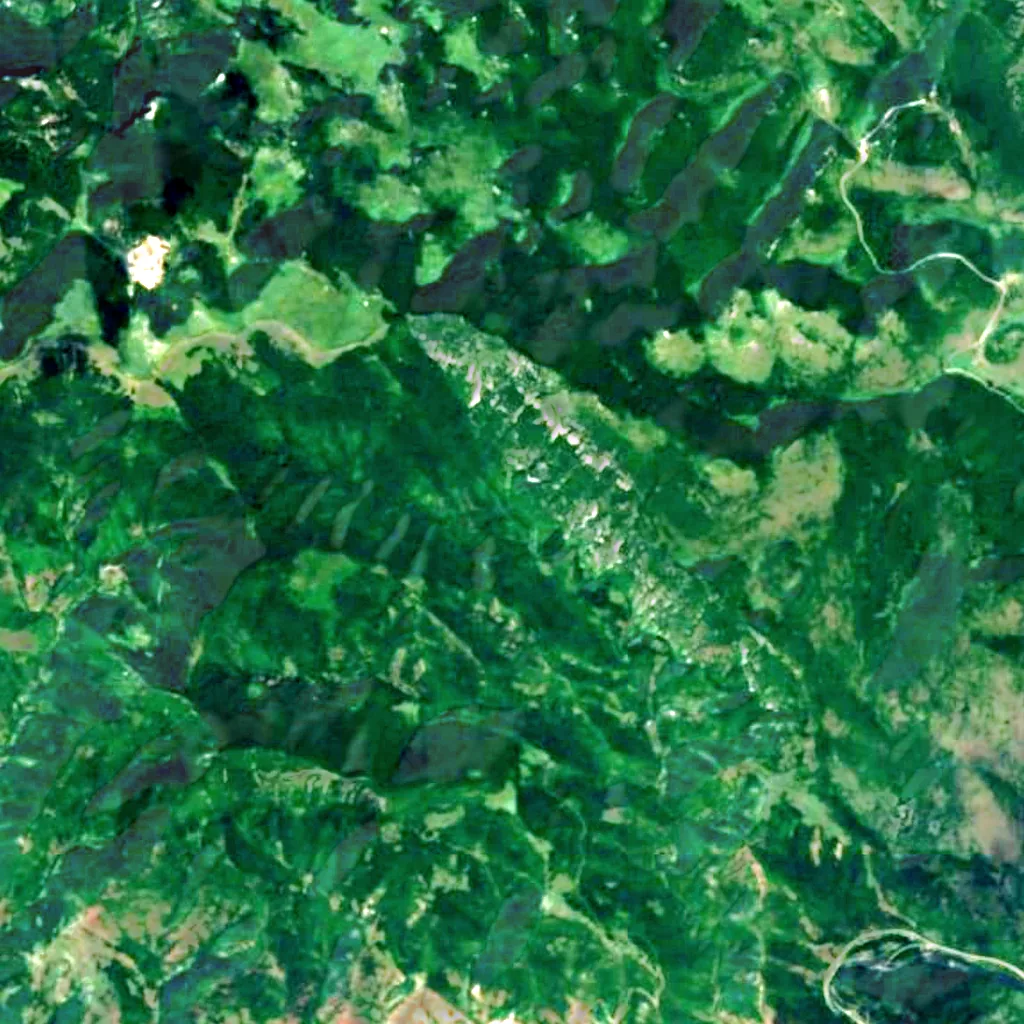 Bigora seen from above (Sentinel-2)