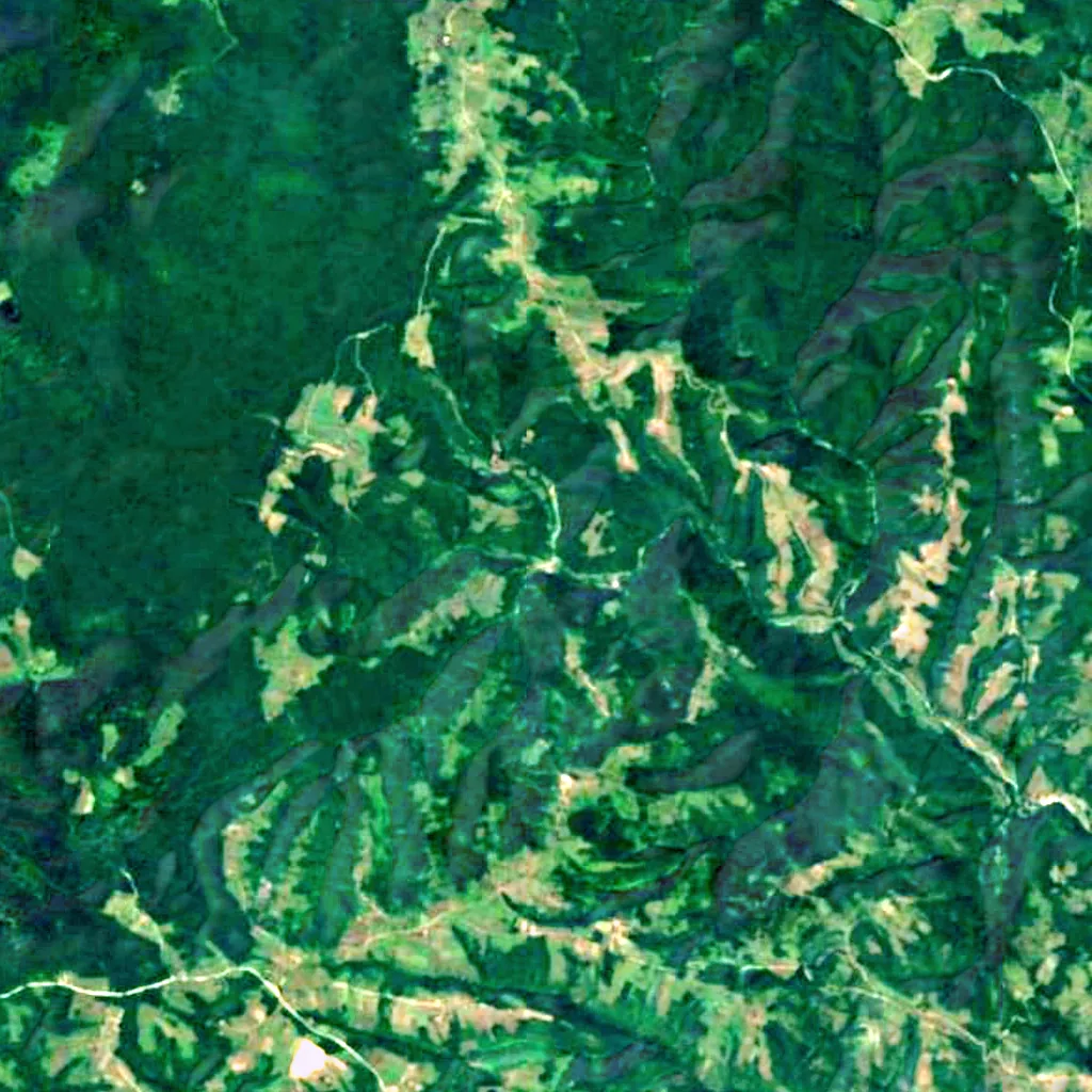Blederija seen from above (Sentinel-2)