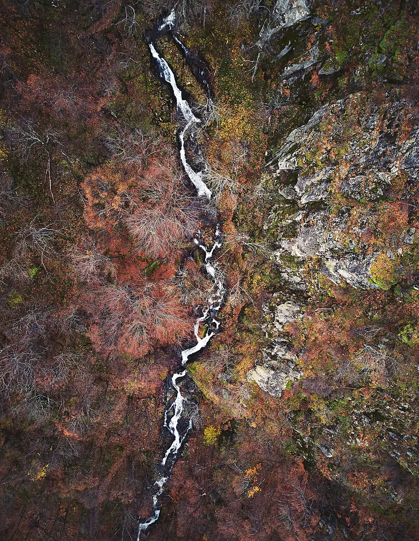 Boyana Waterfall (37536927414)