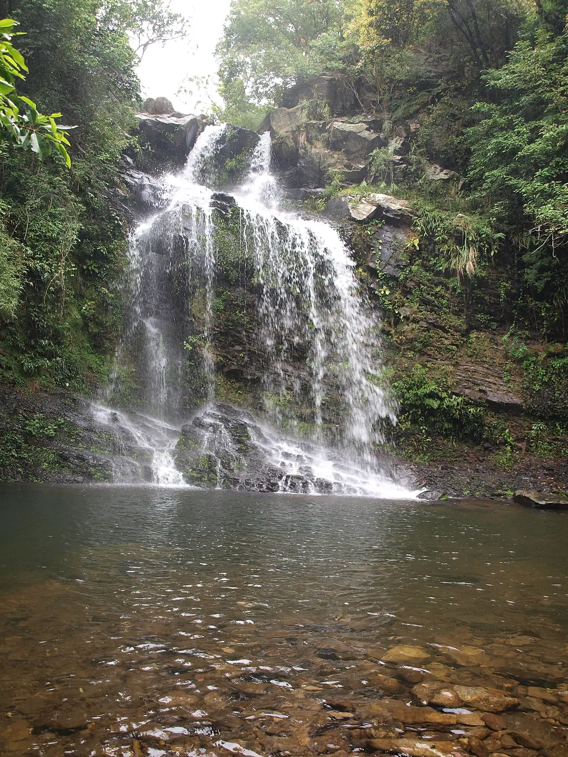 Bride Pool 1