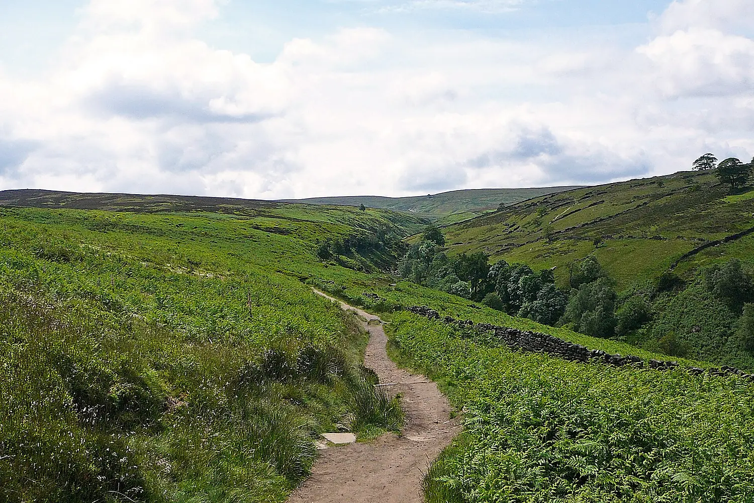 Path to Bronte Bridge (3660554310)