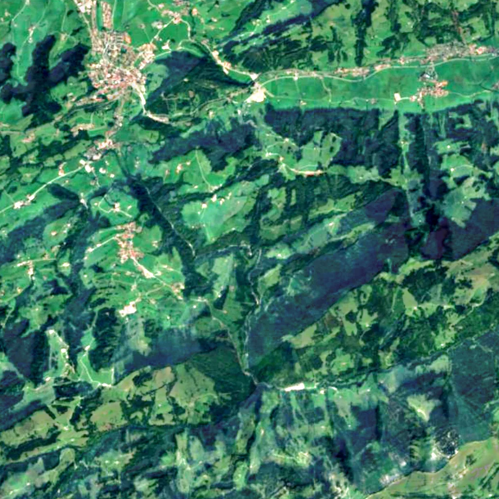 Buchenegg Waterfalls seen from above (Sentinel-2)