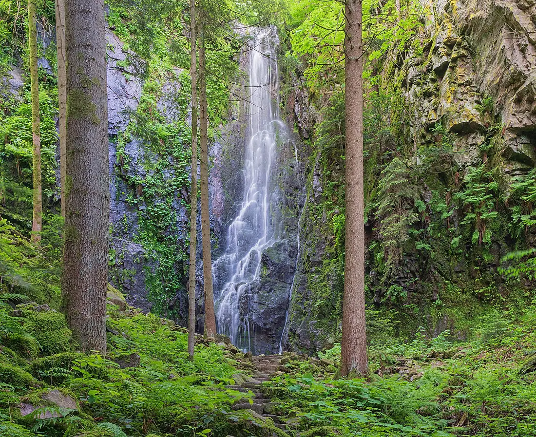 Bad Rippoldsau-Schapbach Burgbachwasserfall Bild 1