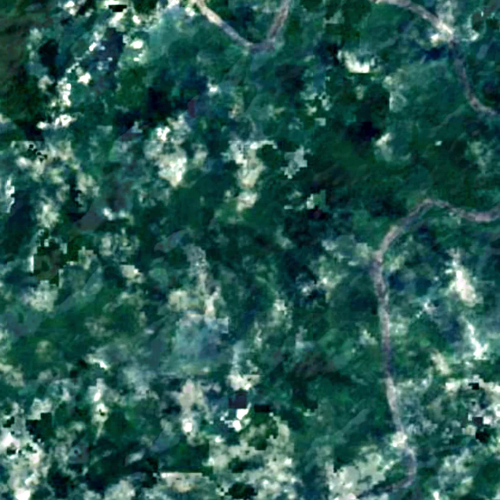 Cachoeira Acutumã seen from above (Sentinel-2)
