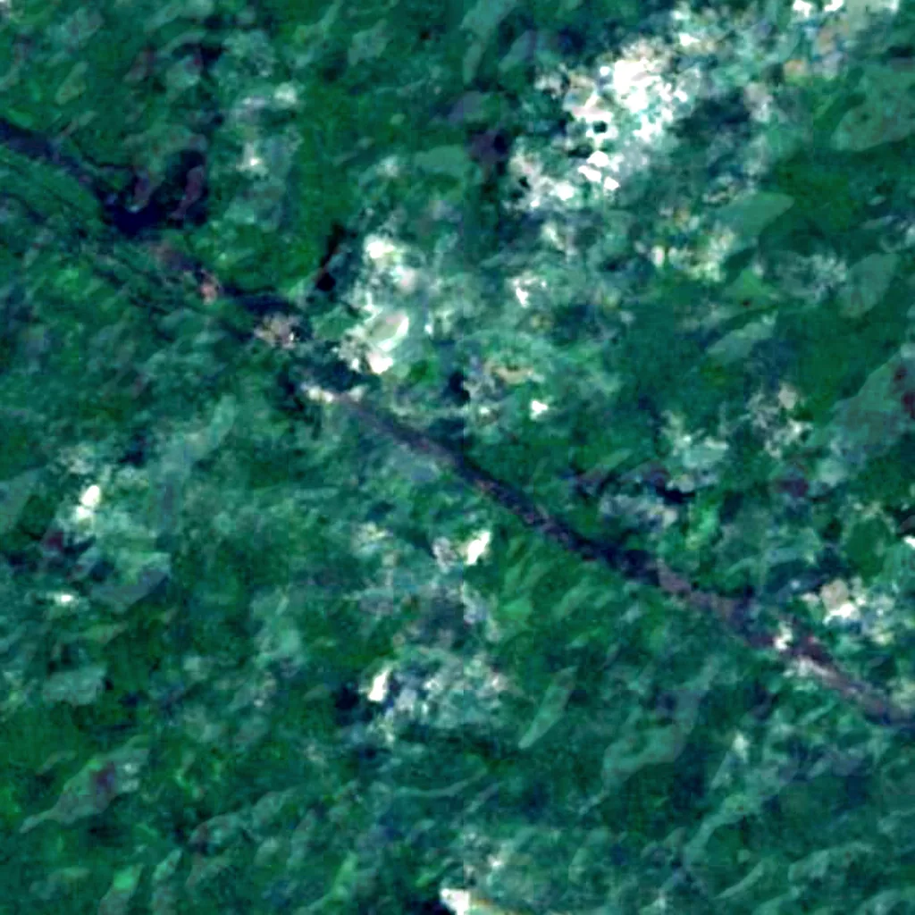 Cachoeira Macacoara seen from above (Sentinel-2)