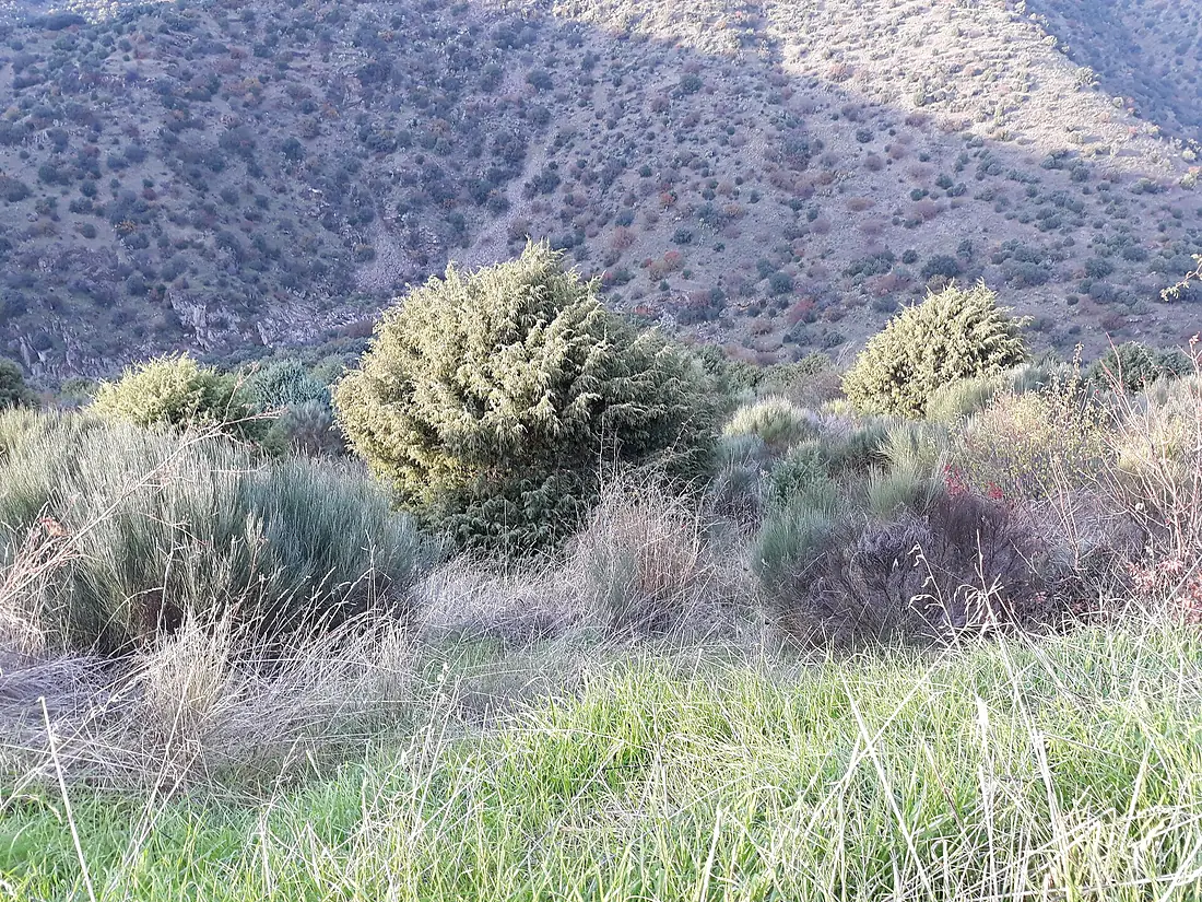 20201124 164210 Cachón del Camaces, Hinojosa de Duero
