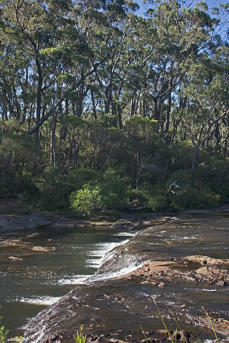 Budderoo NP Carrington Falls seen from above