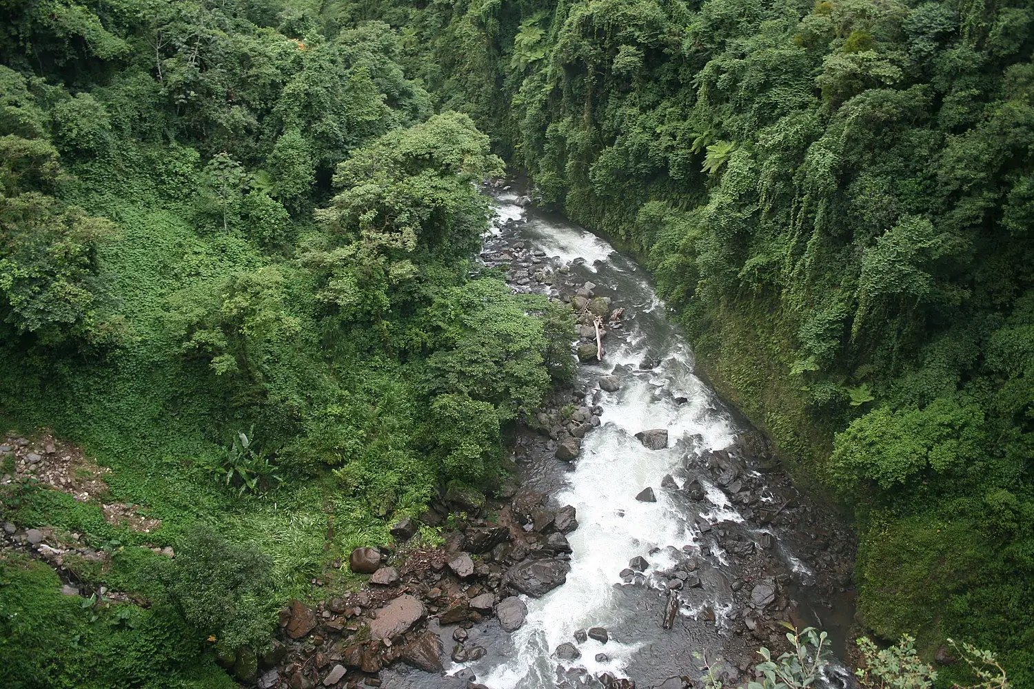 Xico, Cascada de Texolo - panoramio