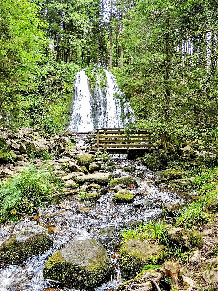 Cascade de La Pissoire (2)