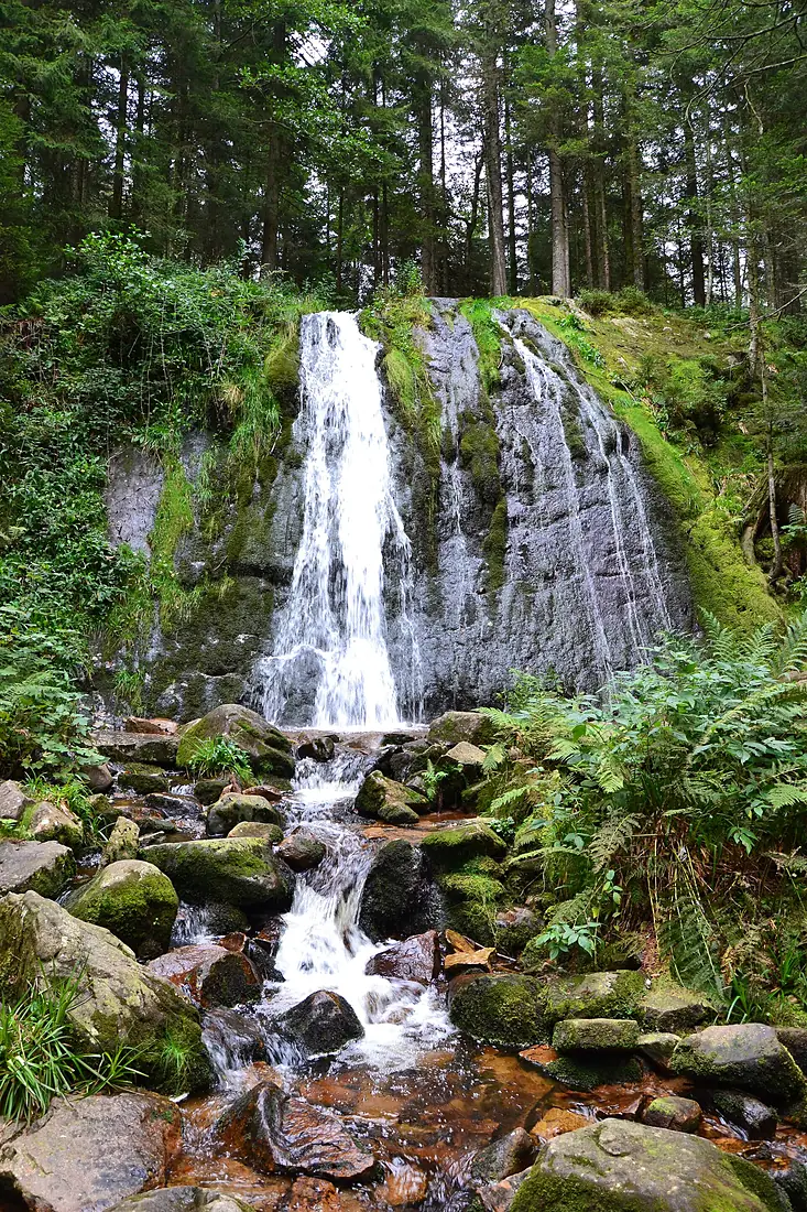 Cascade Pissoire