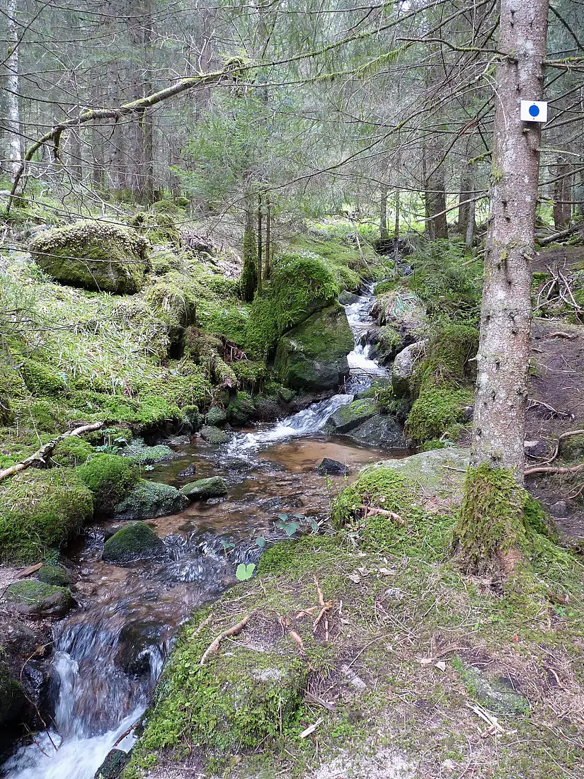 Cascade de Mérelle (2)