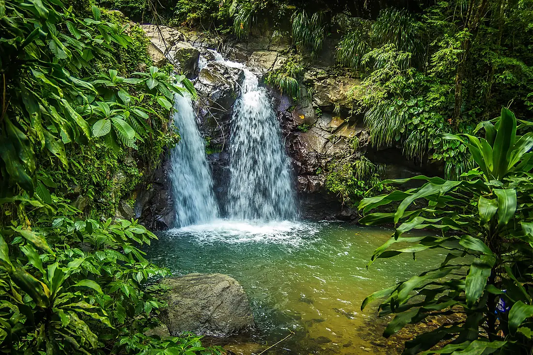 1ere Cascade de Didier Martinique
