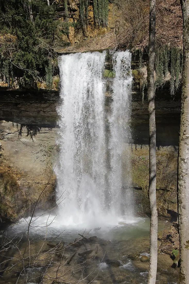 Cascade du Dard - panoramio (1)