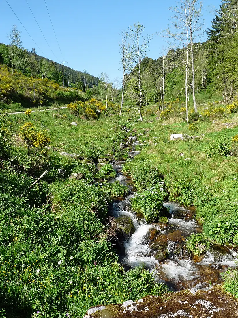 Cascade du Rudlin-Plainfaing (2)