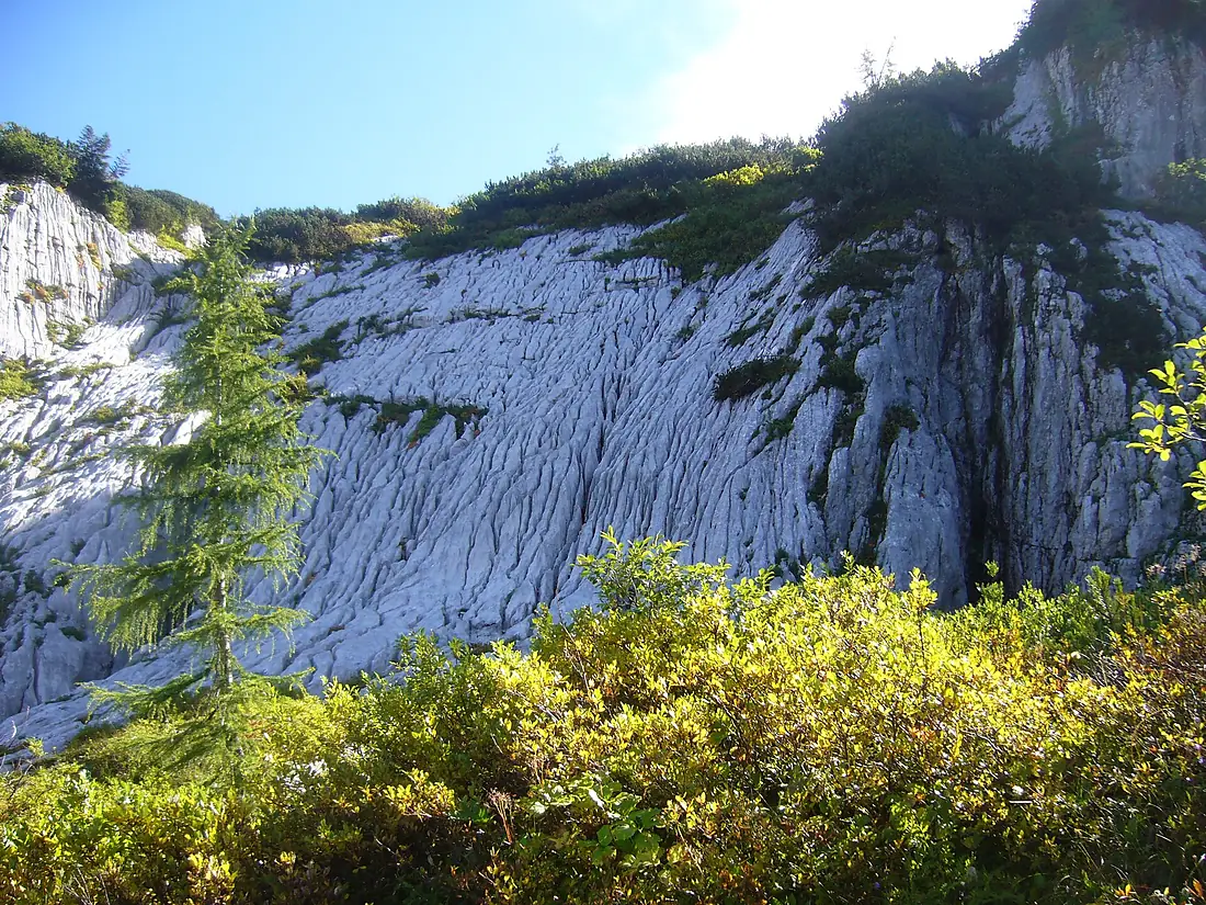 Campi solcati