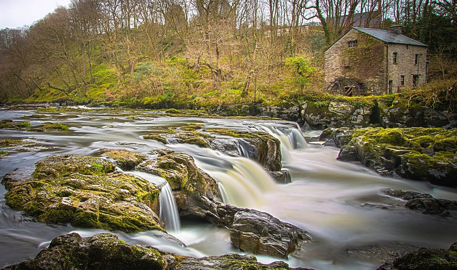 Cenarth Falls West Wales (68271919)