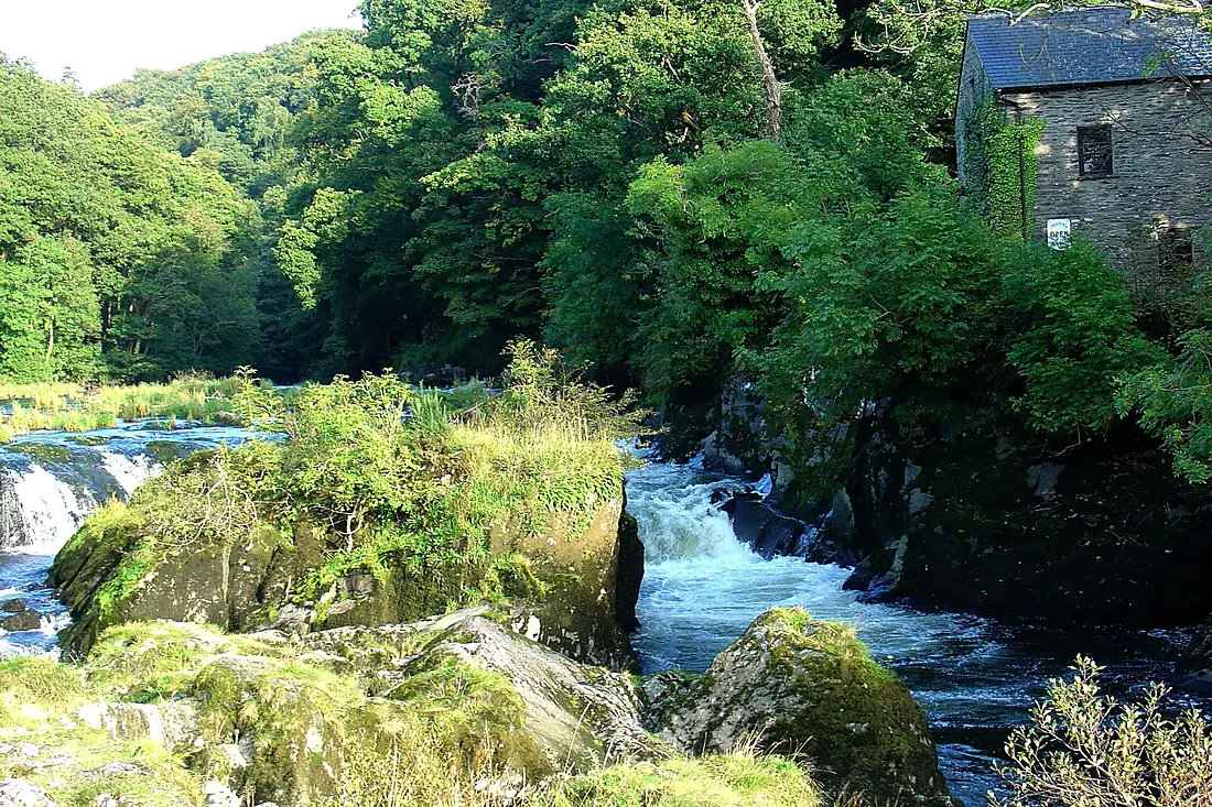 CenarthFalls