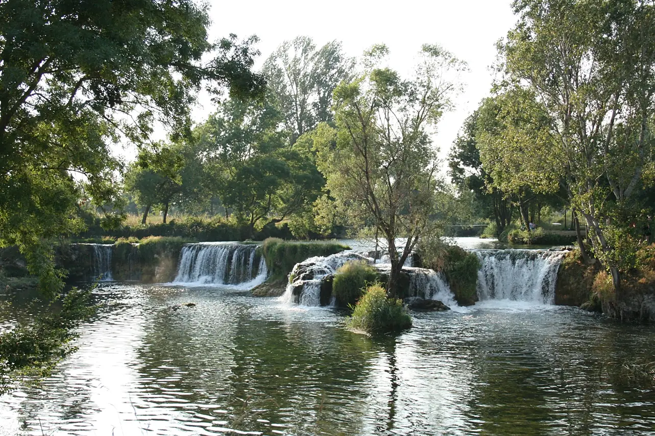 Ceveljusa