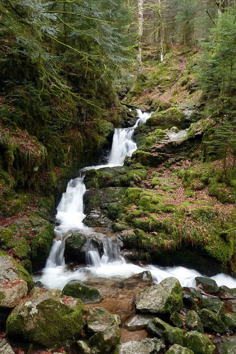 Cascade Charlemagne (Vosges)