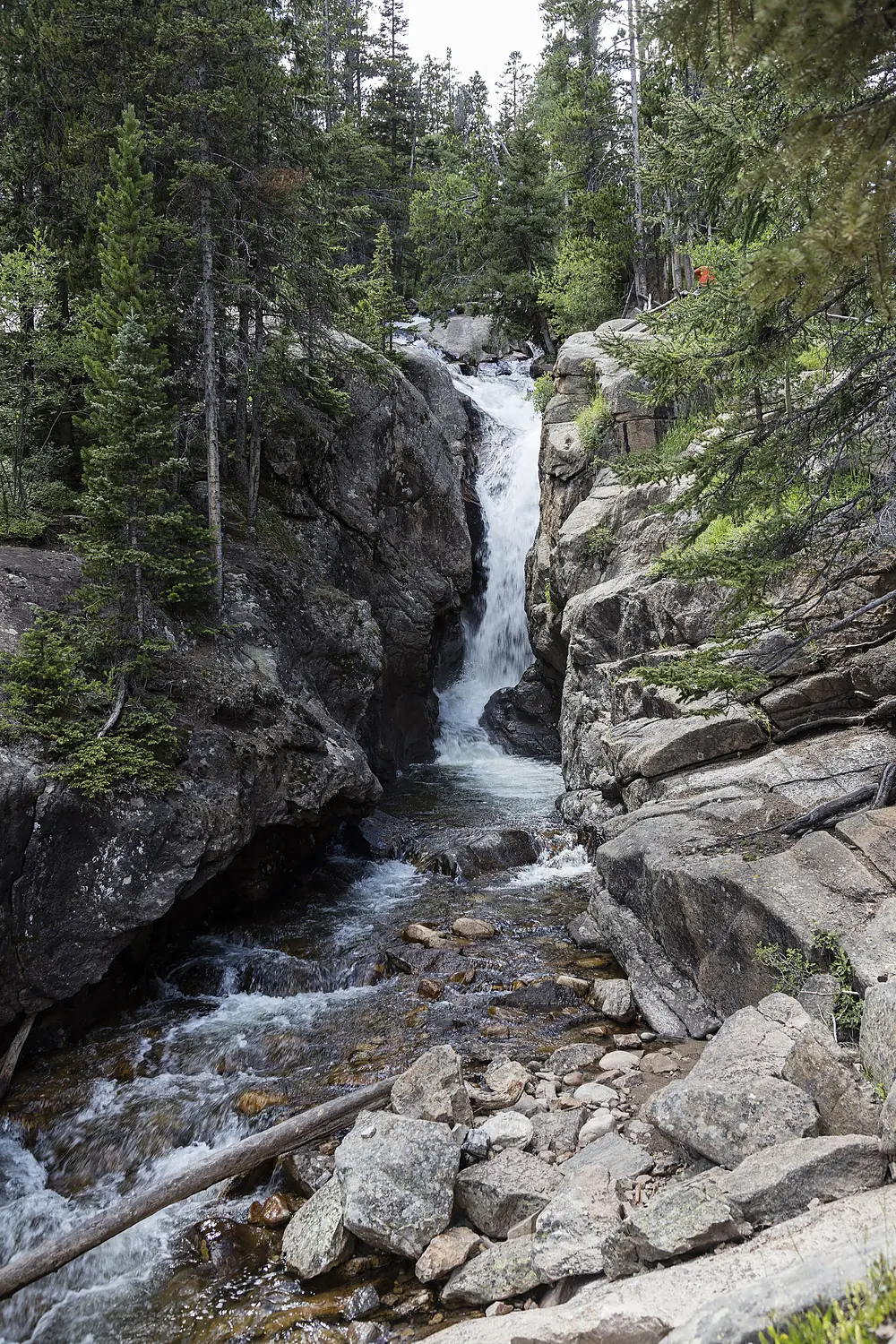 Small waterfall along the old, one-way, dirt Fall River Road in Rocky Mountain National Park in the Front Range of the spectacular and high Rockies in north-central Colorado LCCN2015633352