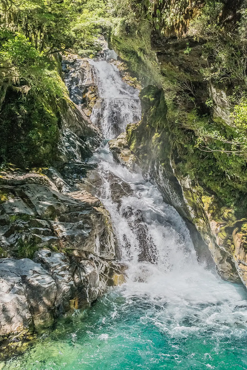 Christie Falls in Fiordland National Park 05