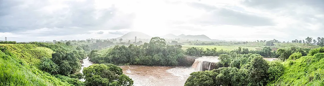 Chute vina