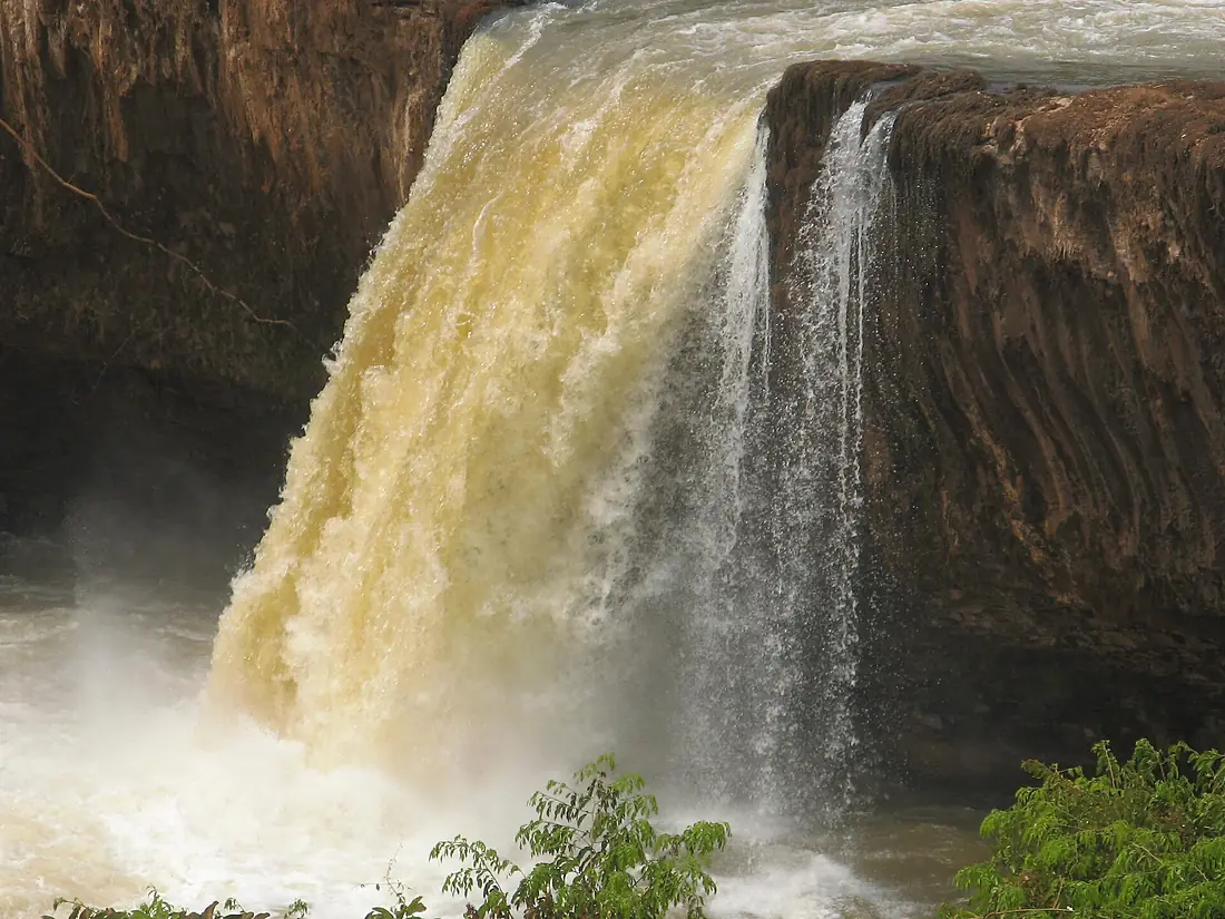 Chutes de Vine