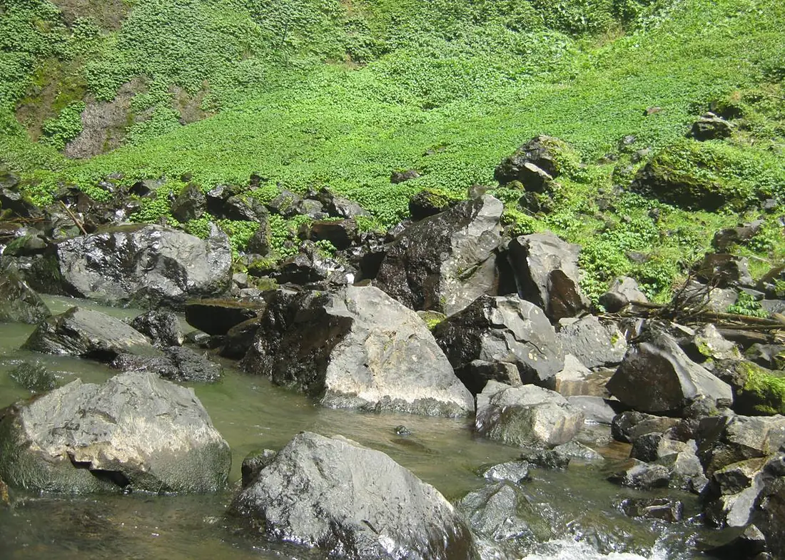 Air Terjun Curug Cimahi, Bandung Barat - panoramio (1)