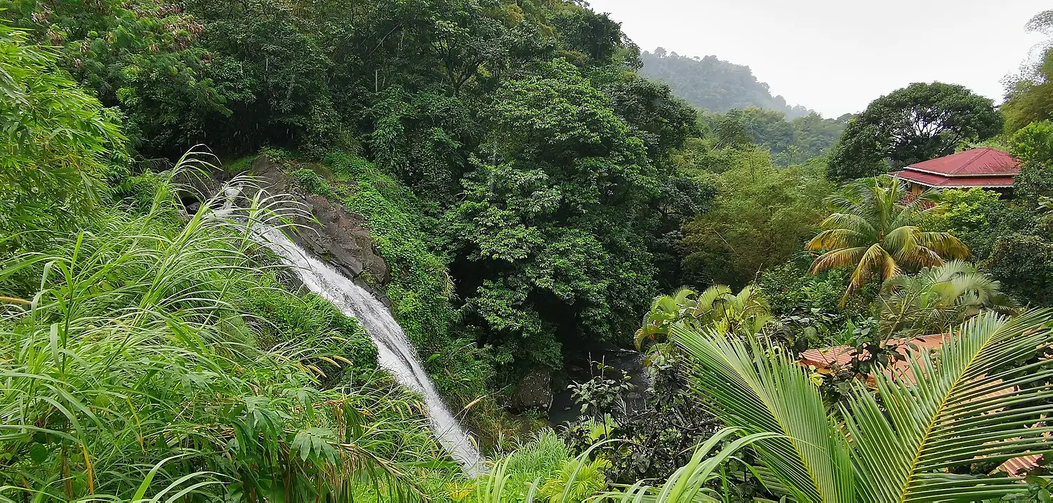 Concord waterfall 2024-01-24 1