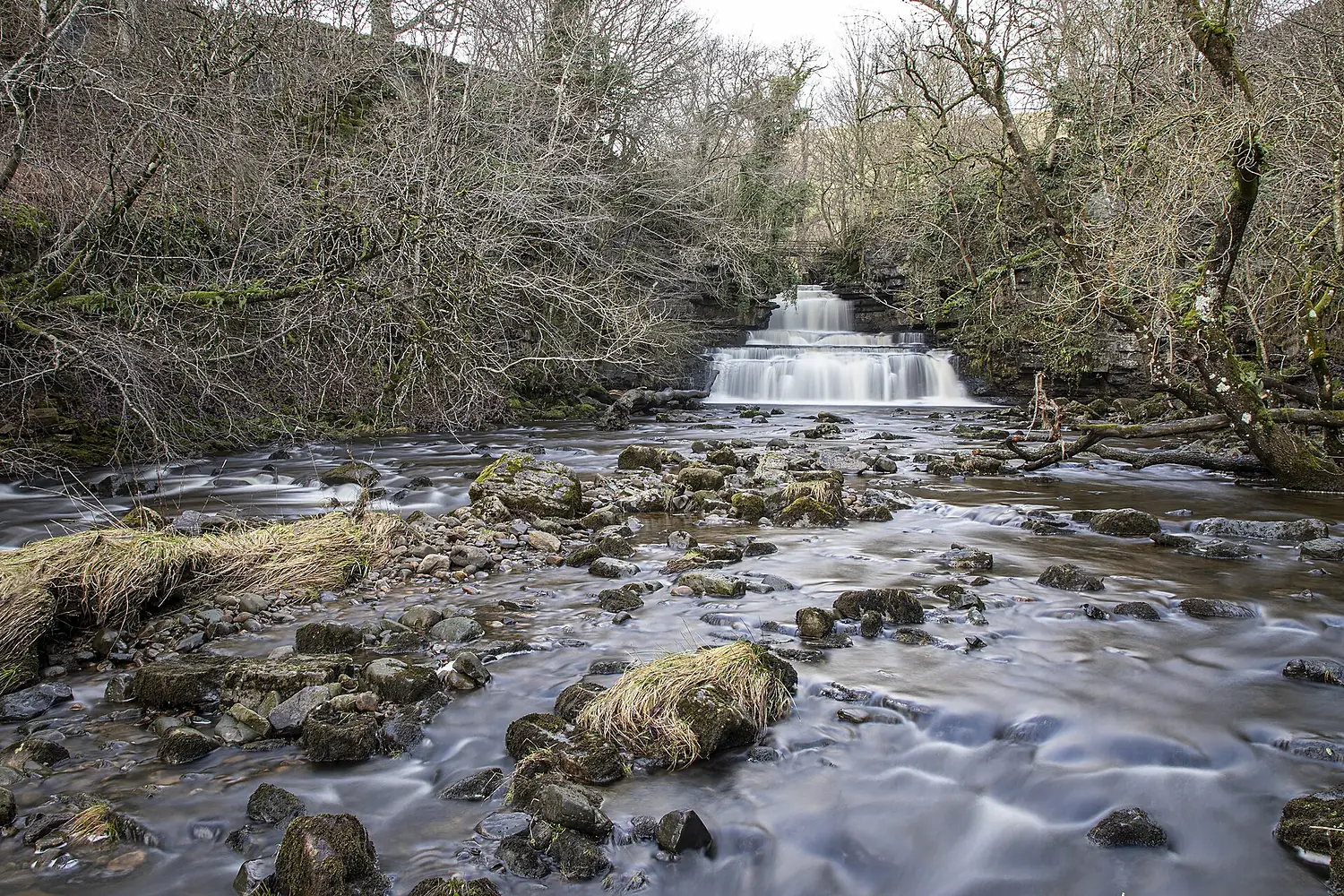 Cotter Force Jan 22