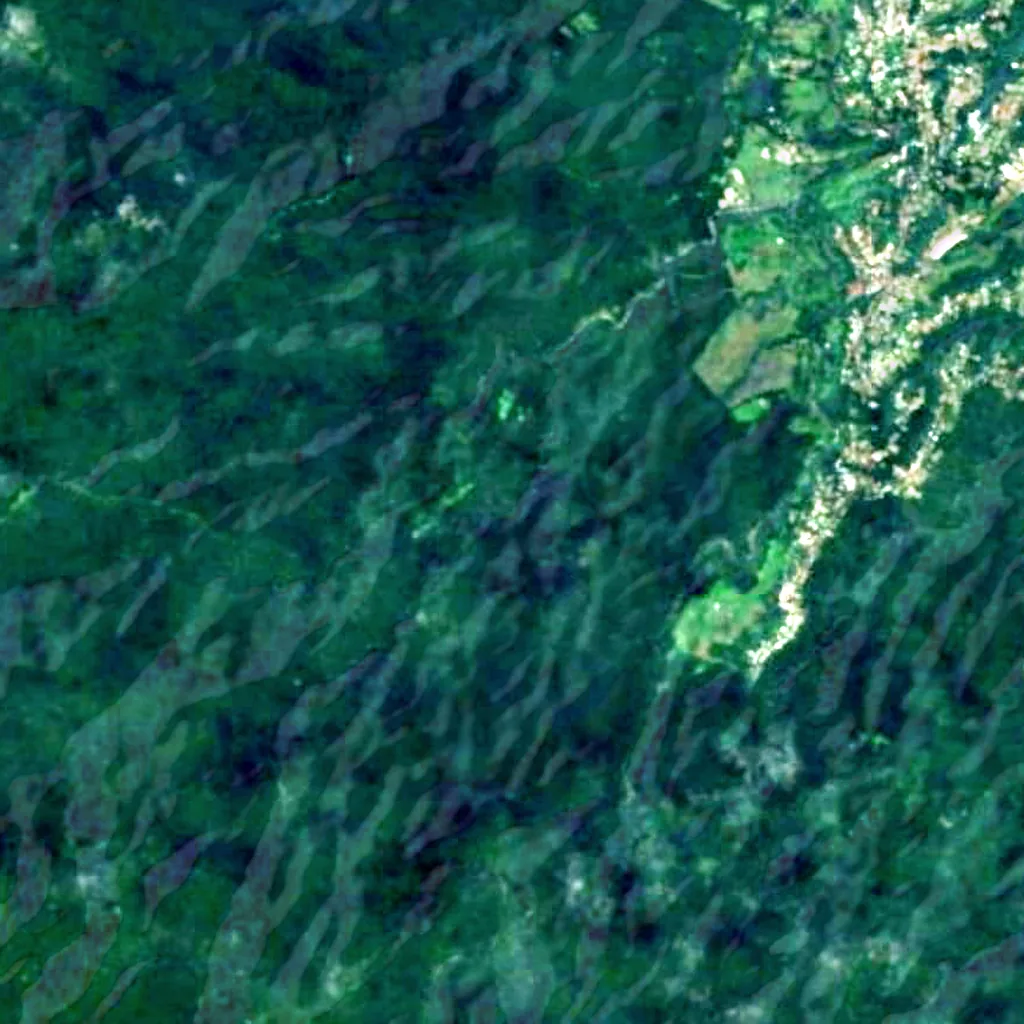 Crayfish Waterfall seen from above (Sentinel-2)