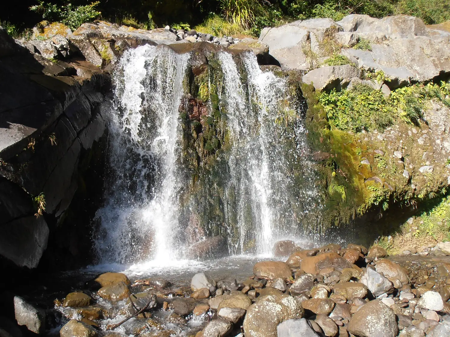 Curtis Falls Track 63