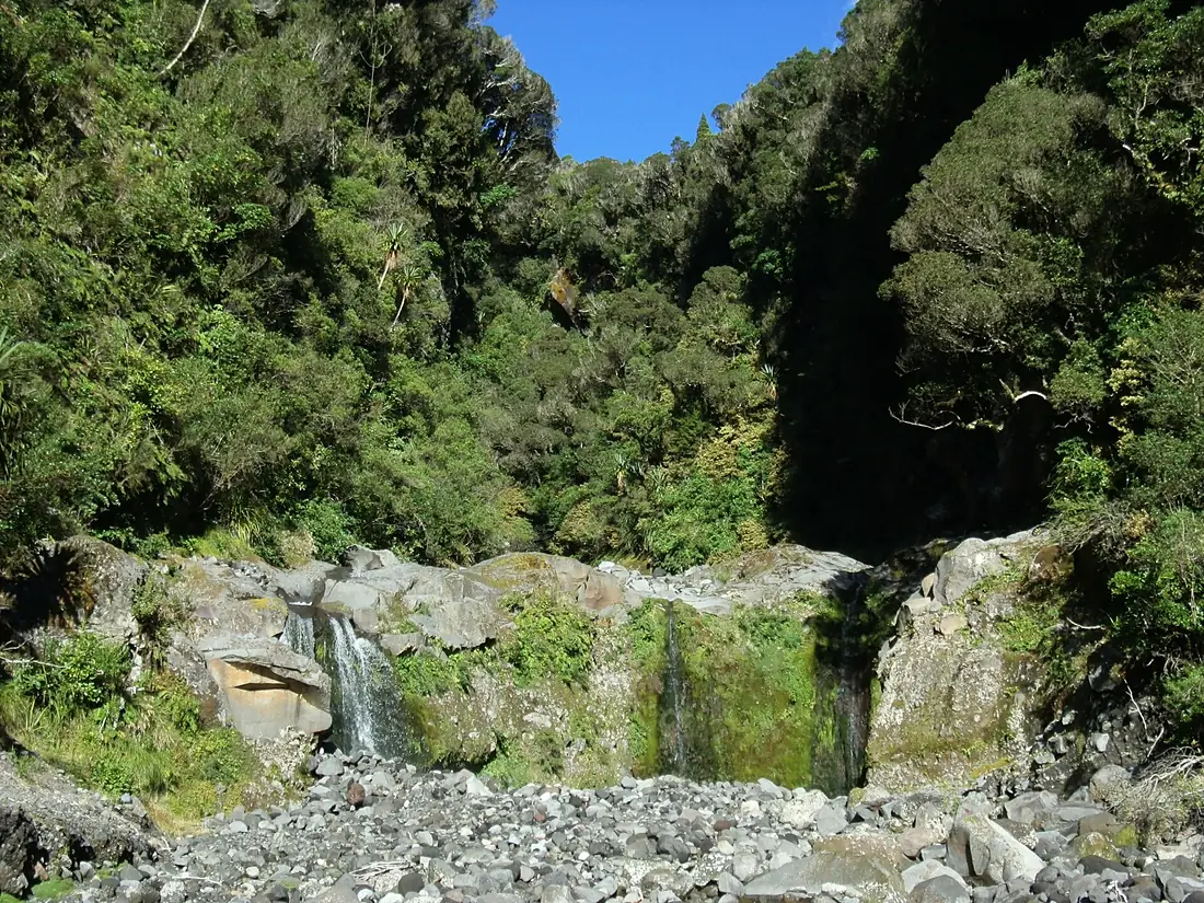 Curtis Falls Track 60