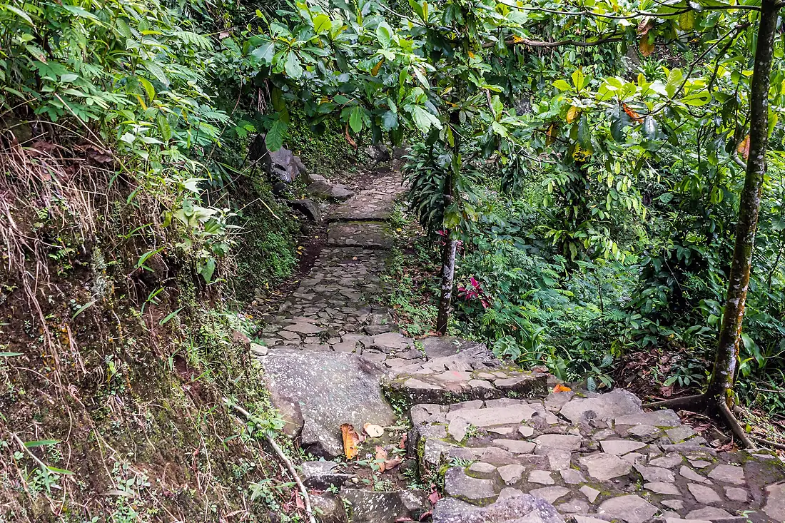 Pathway to Curug Cipendok, Purwokerto 2015-03-22