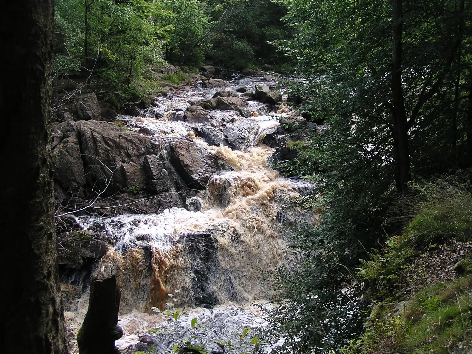 Danska Fall in Assman2