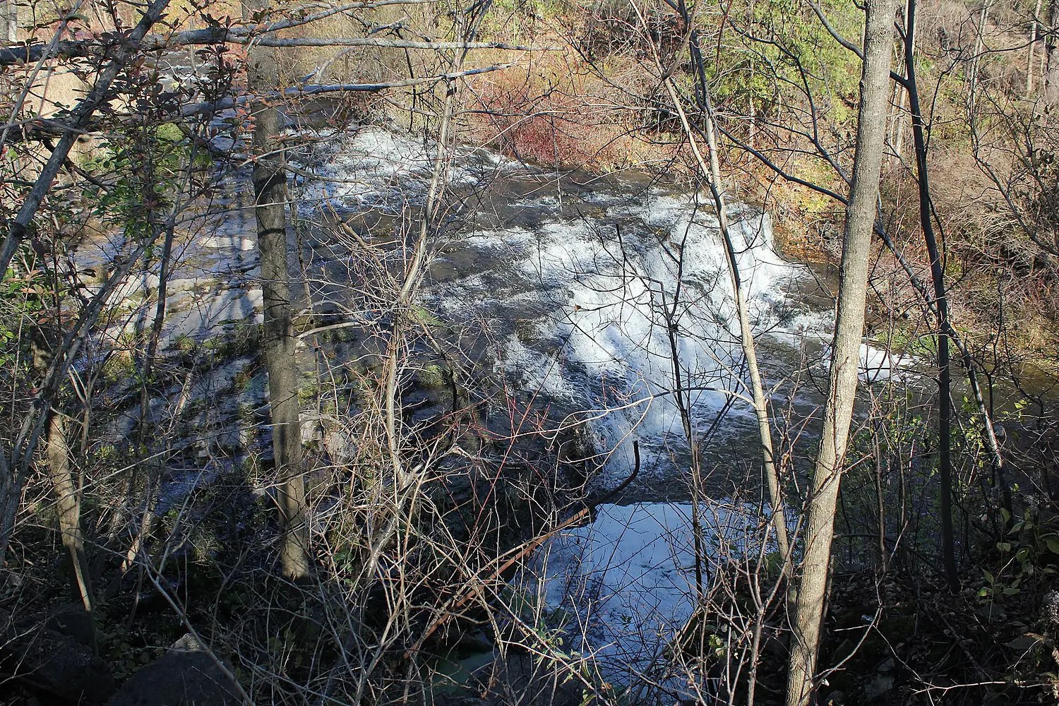 Spencer Gorge Cons. Area Laslovarga (17)