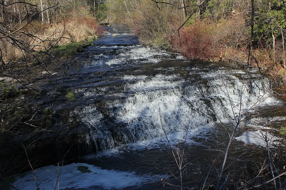 Spencer Gorge Cons. Area Laslovarga (18)